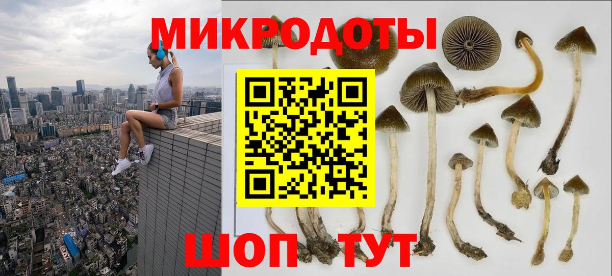 Находка  Псилоцибиновые грибы ЛСД  Вход с VPN 